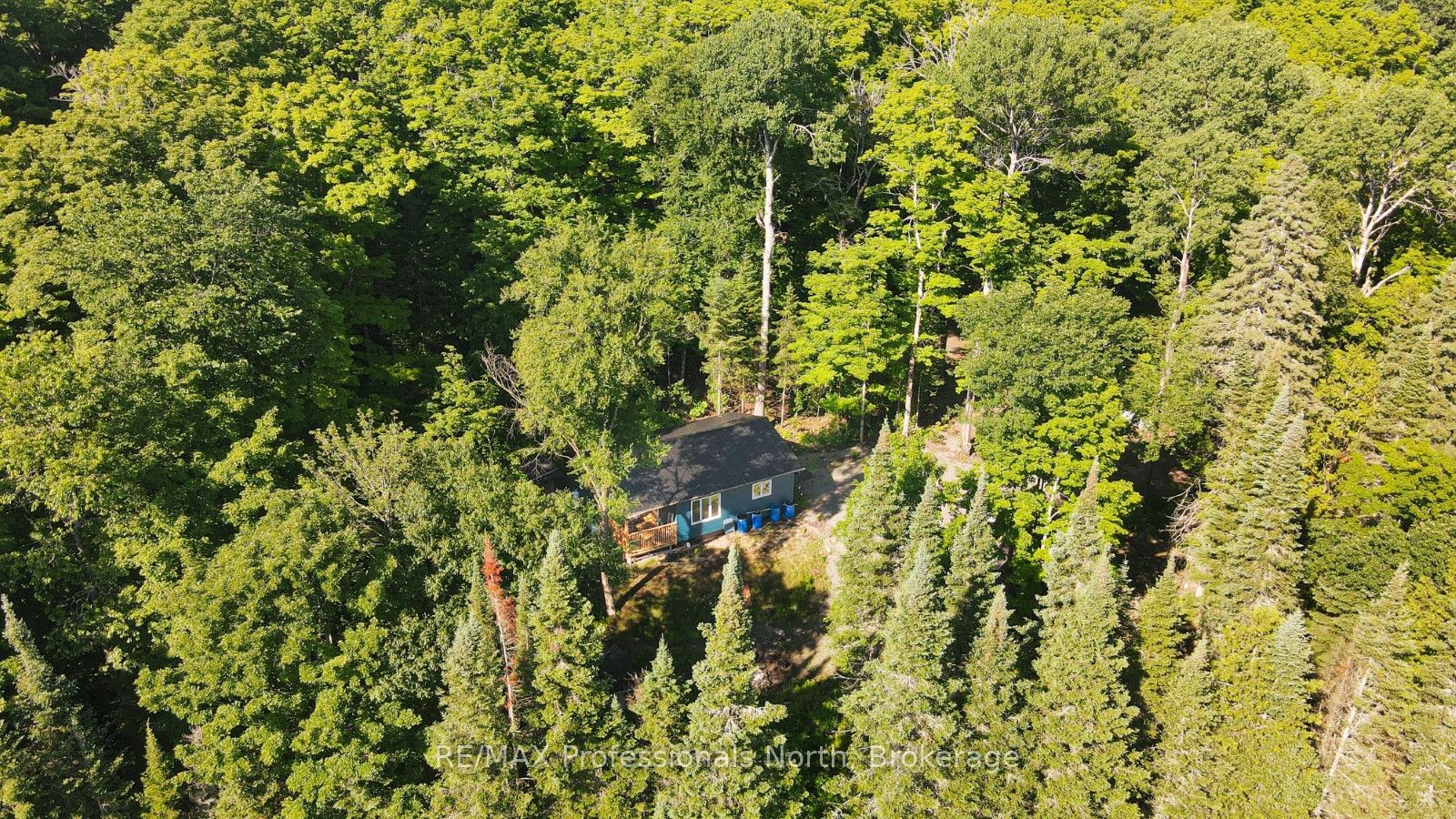 1596 Paynes Road, Highlands East, ON K0L 2Y0