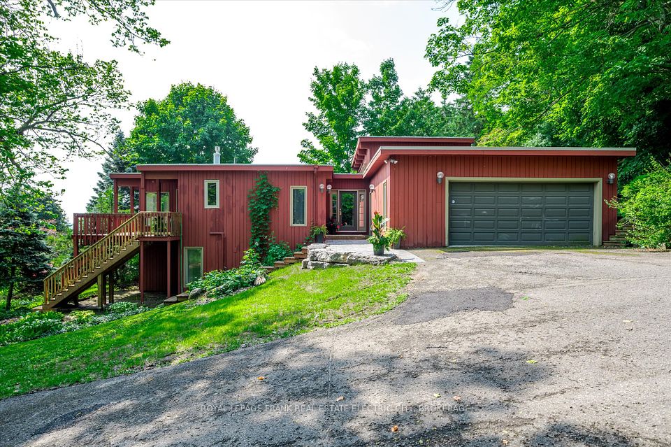 1 Montague