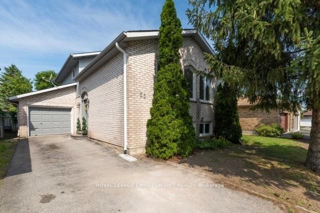 55 ROSENFELD