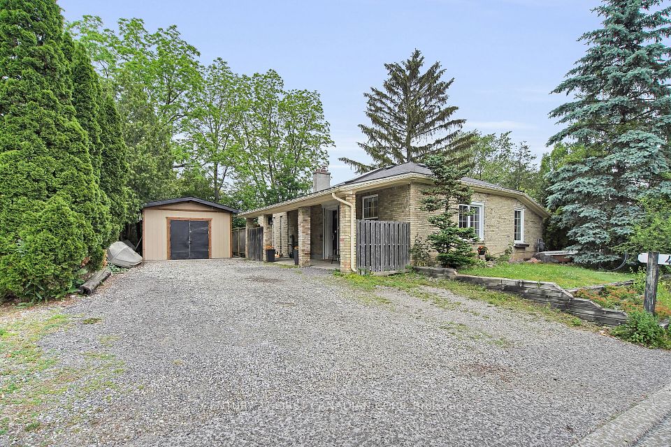 425 OLD WONDERLAND