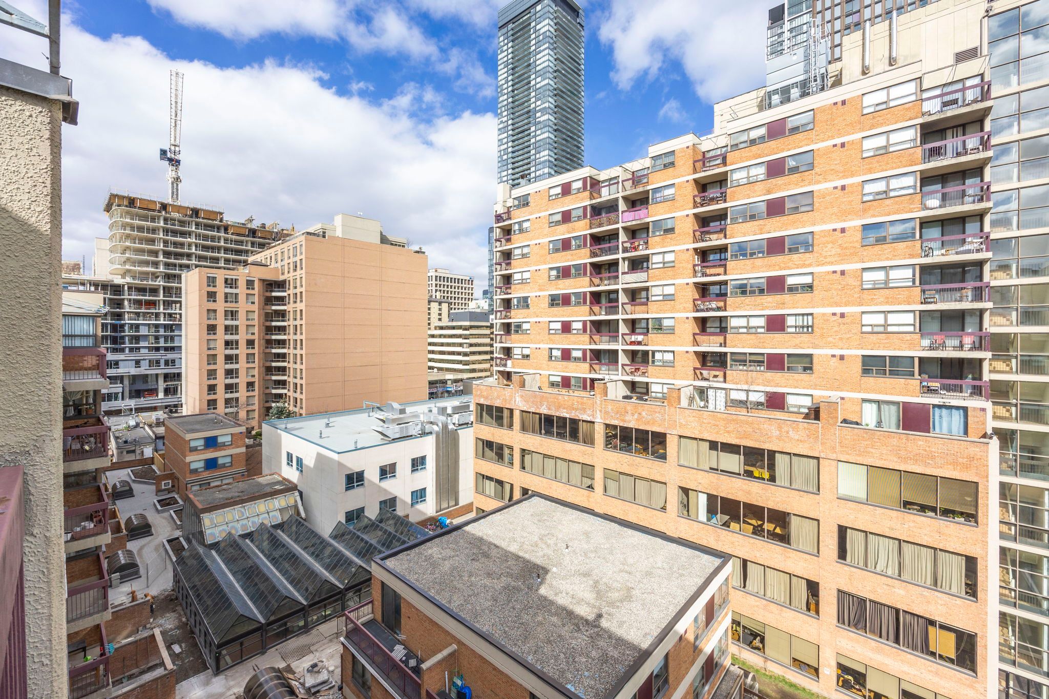 89 Mccaul Street 923