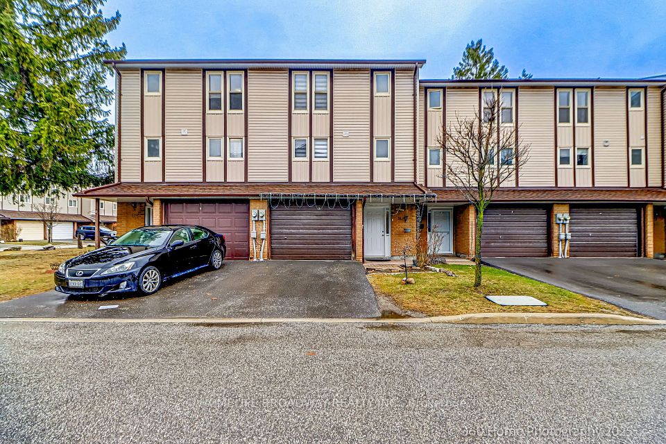 51 Yellow Birch