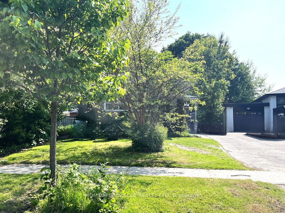 37 Darlingside