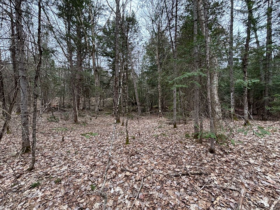 Lot 1 Loch Erne