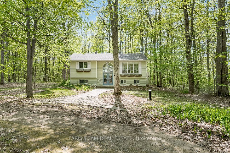 104 Silver Birch