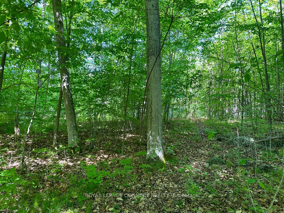 20 Riverside Drive, Trent Hills, ON K0L 1L0