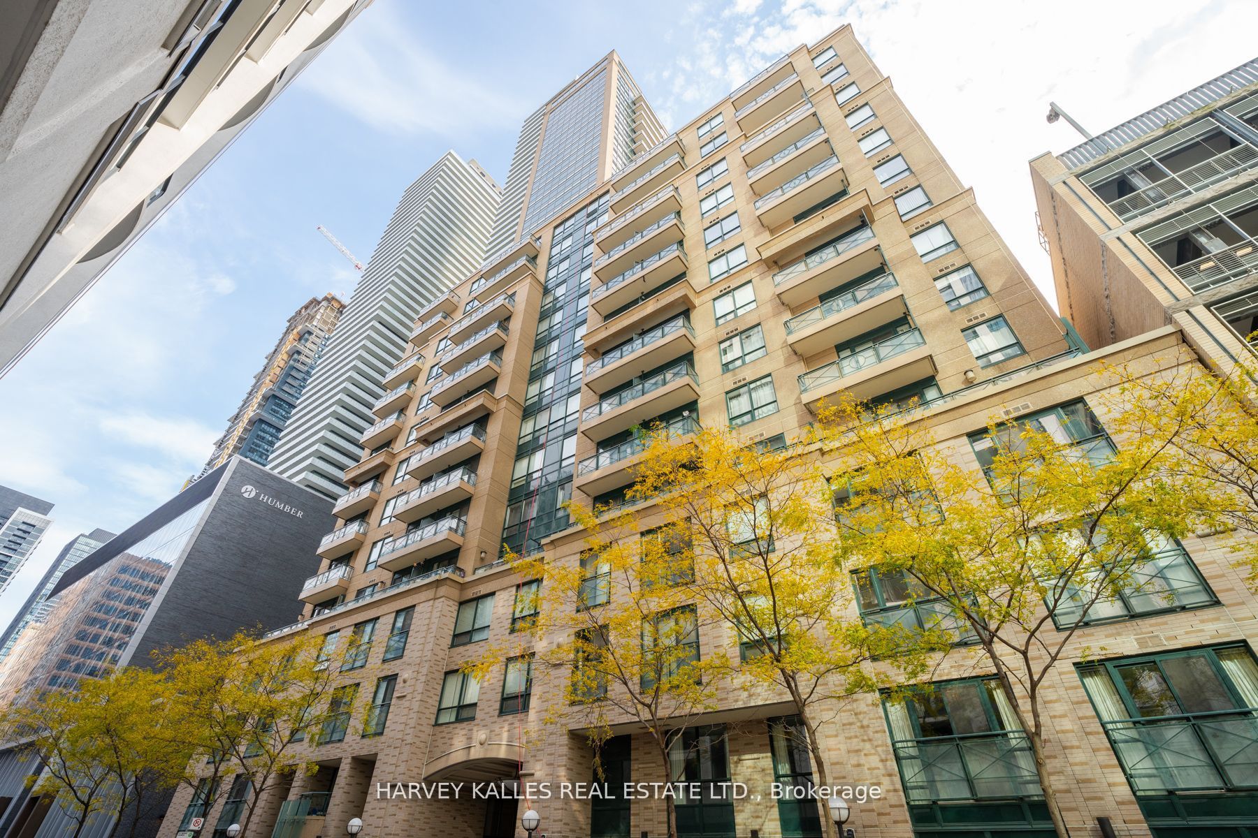 35 Hayden Street 2901
