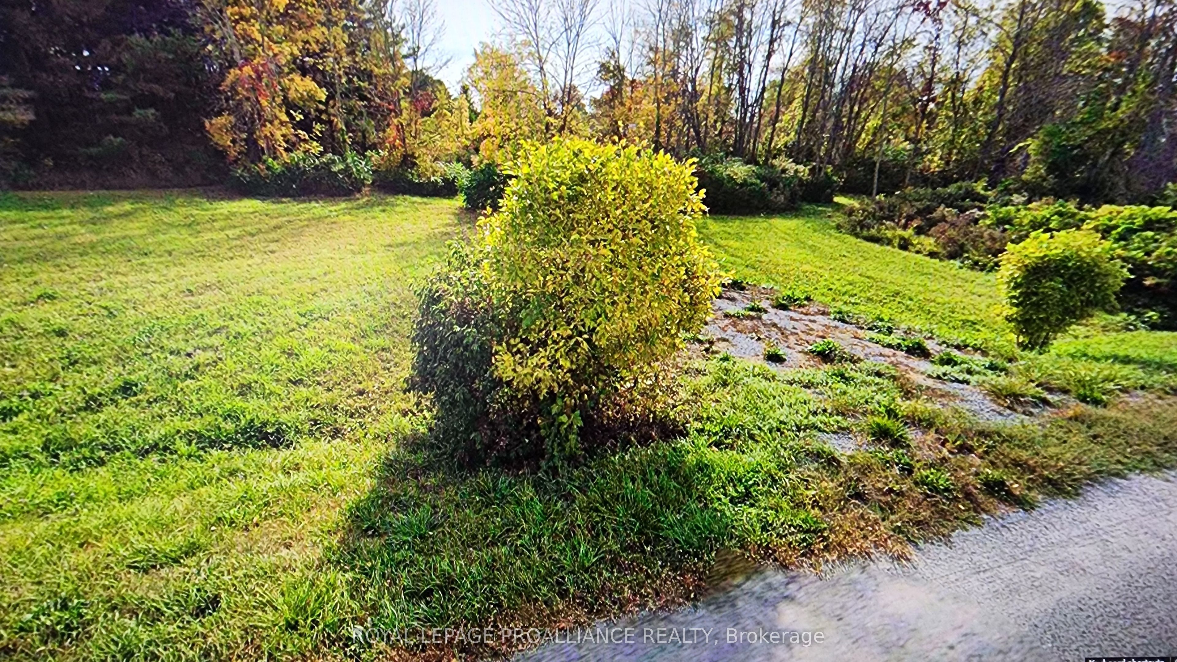 489 Prinyers Cove Crescent, Prince Edward County, ON K0K 2T0