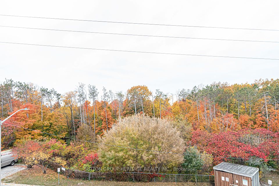 View From Balcony