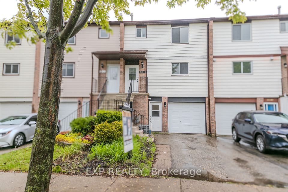 249 Camelot