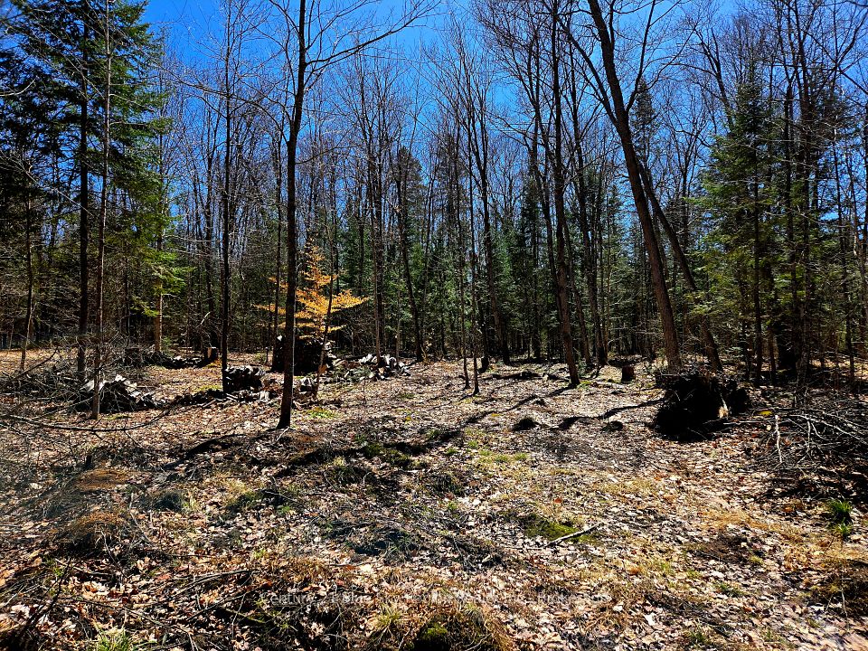 Investment Listing Photo