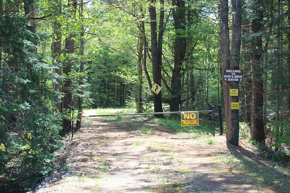 4313 Highway 518, McMurrich/Monteith, ON P0A 1C0