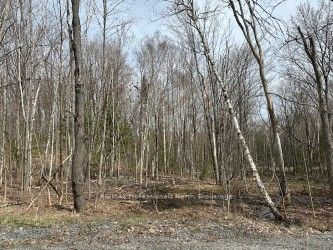 Lot Silverwood