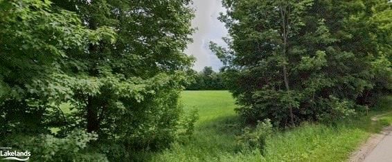 View of landscape