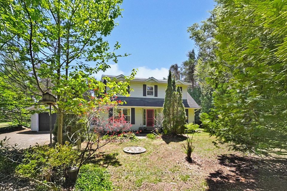123 Pine Tree