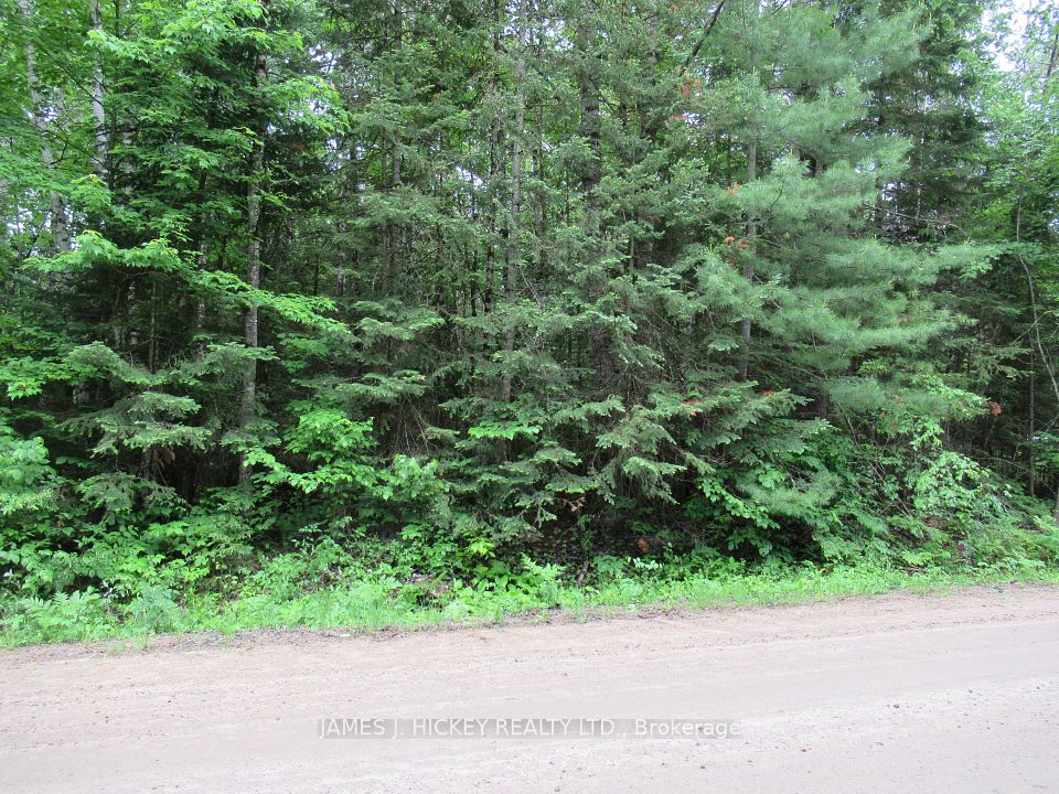 PT LT49 Old Moore Lake