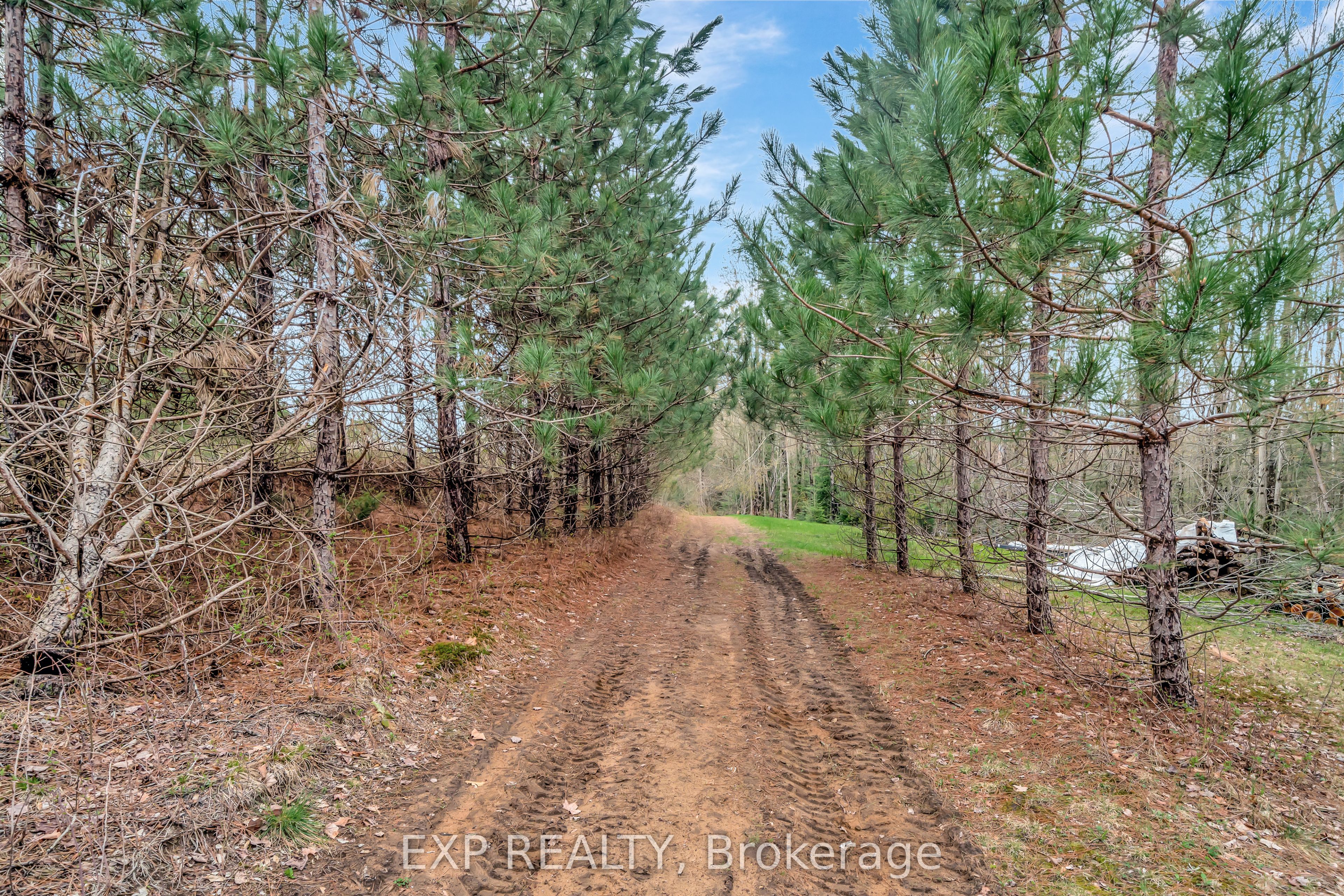 1469 Queensborough Road, Tweed Elzevir (Twp)
