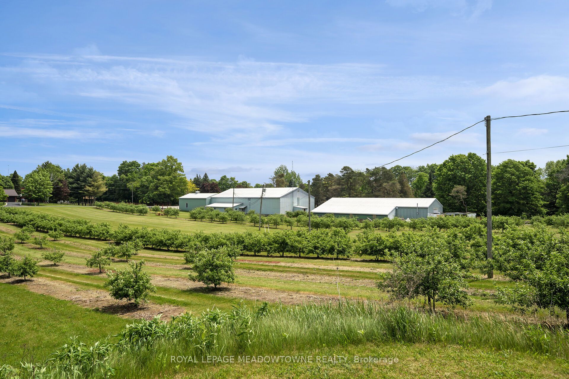 1453 Milburough Line