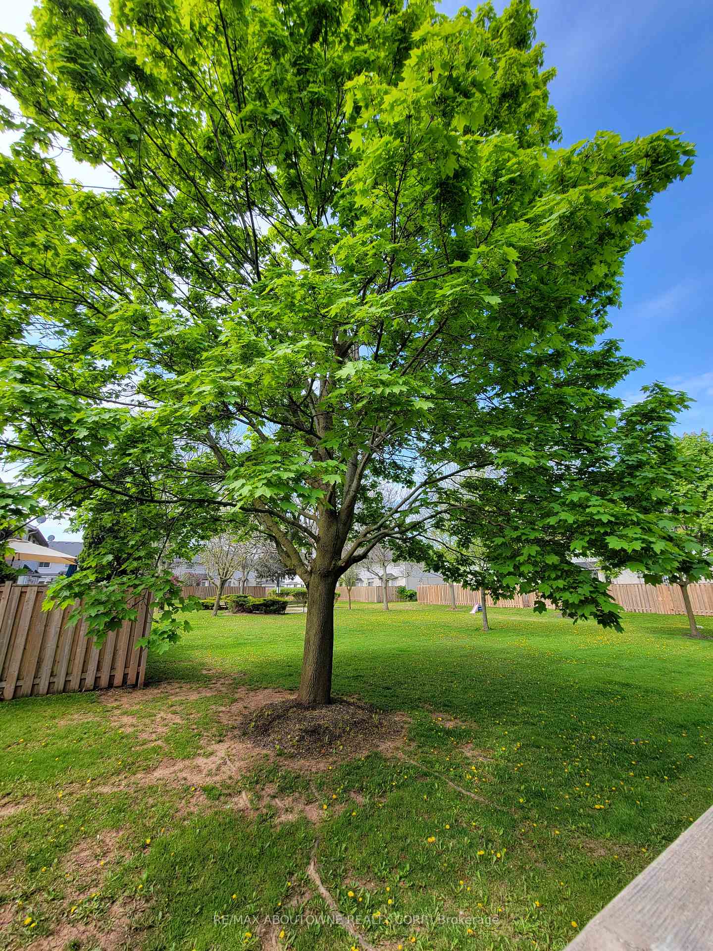 3 Bedrooms Condo at 1 Royalwood, Hamilton For sale