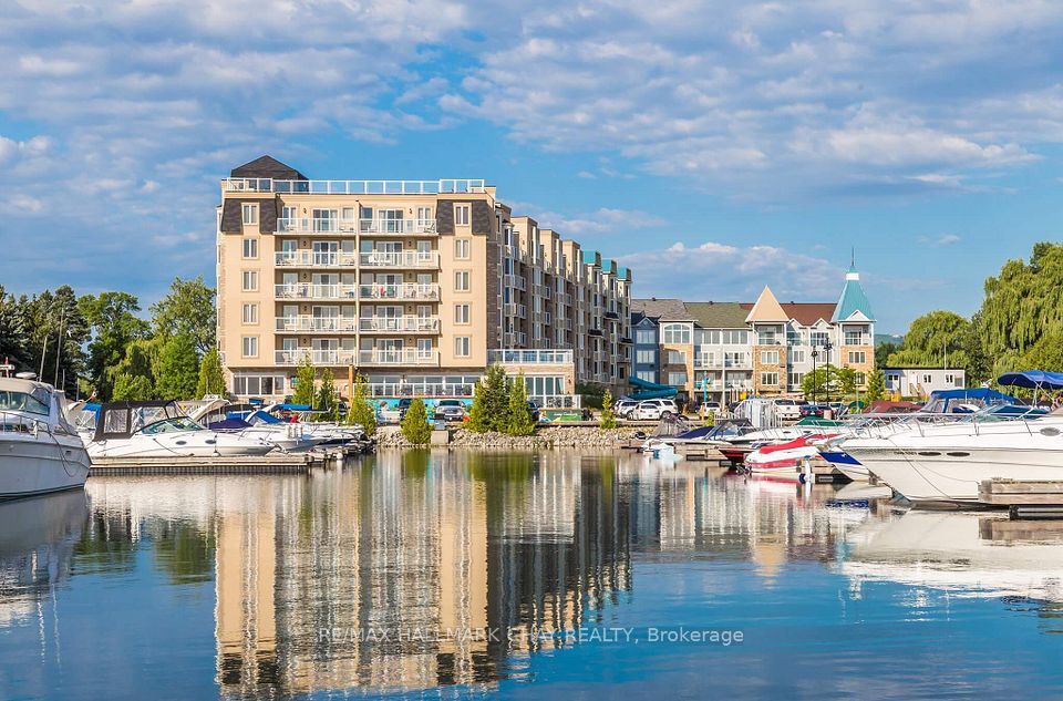 9 Harbour