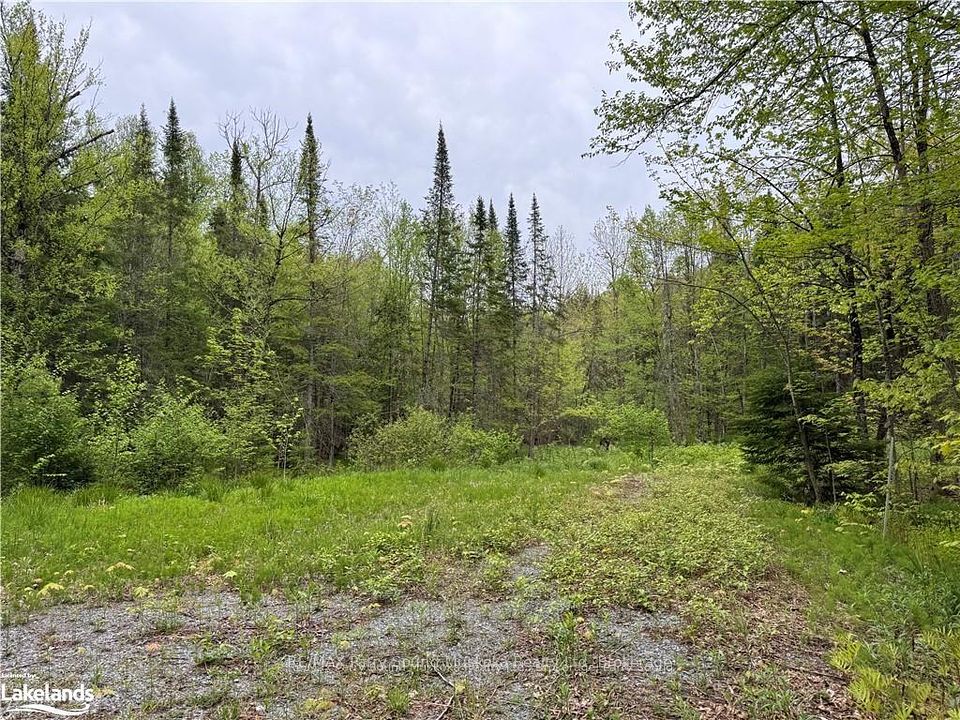 64 Woodland