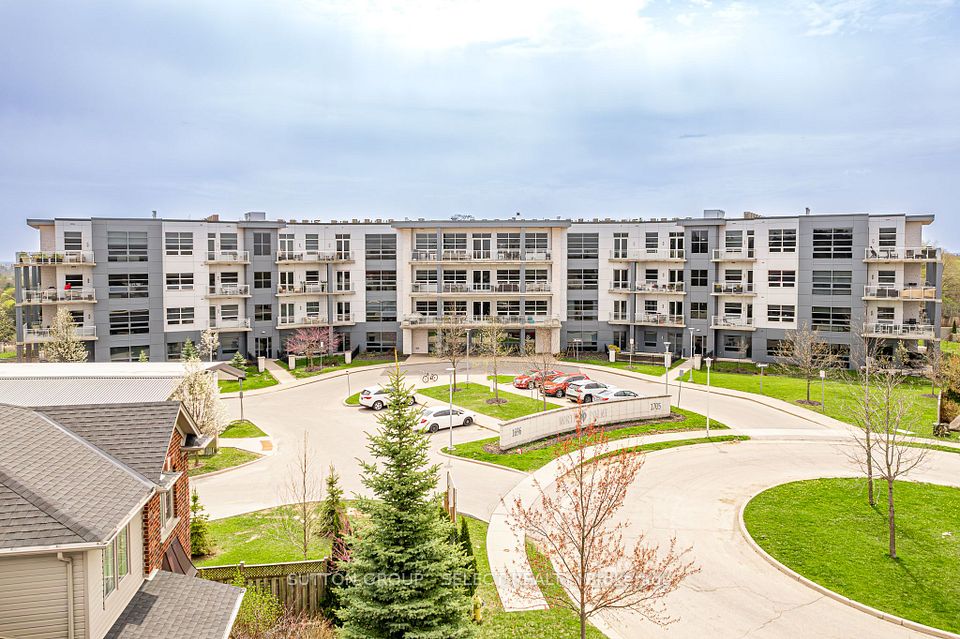 1705 Fiddlehead