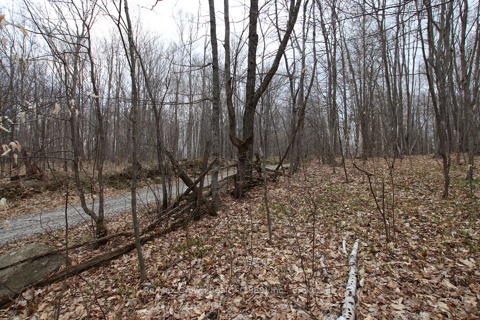 0 Beaudry Hill