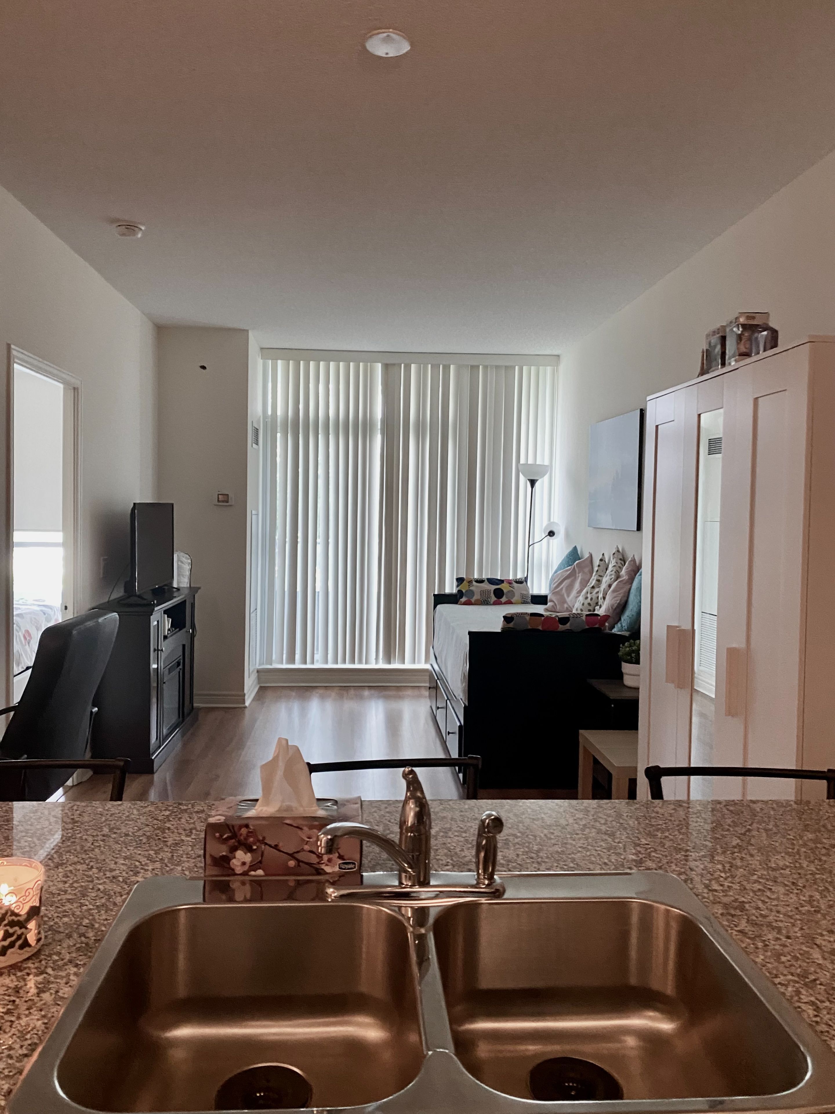 339 Rathburn Drive 202
