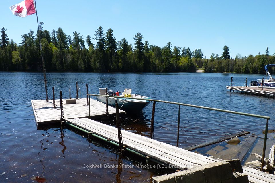 37 Red Cedar