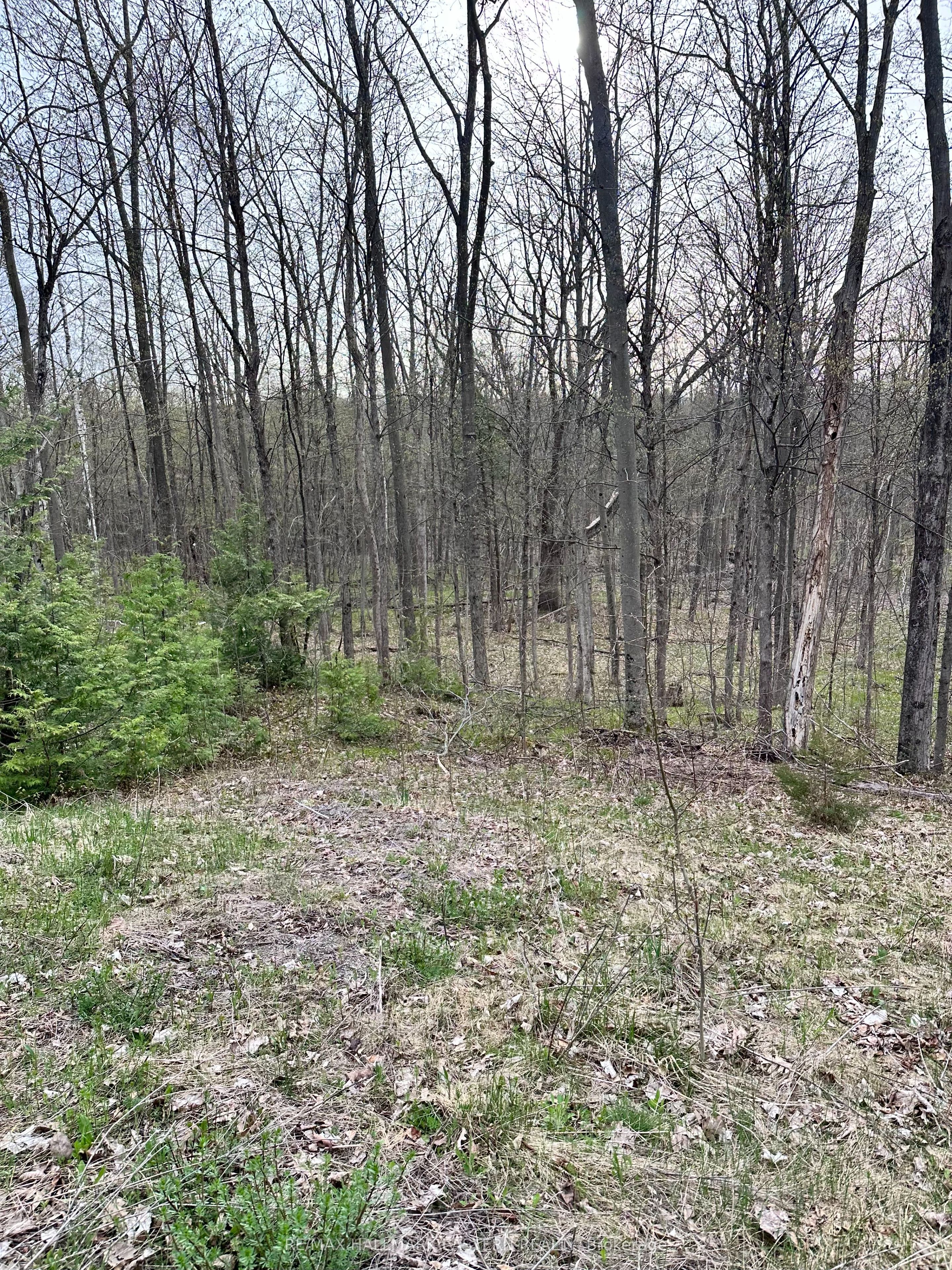 62 Trent View Drive, Trent Hills, ON K0L 1Y0