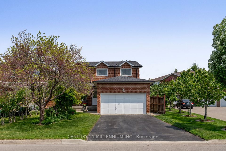 17 Whitehaven Drive, Brampton, ON L6Z 2R5