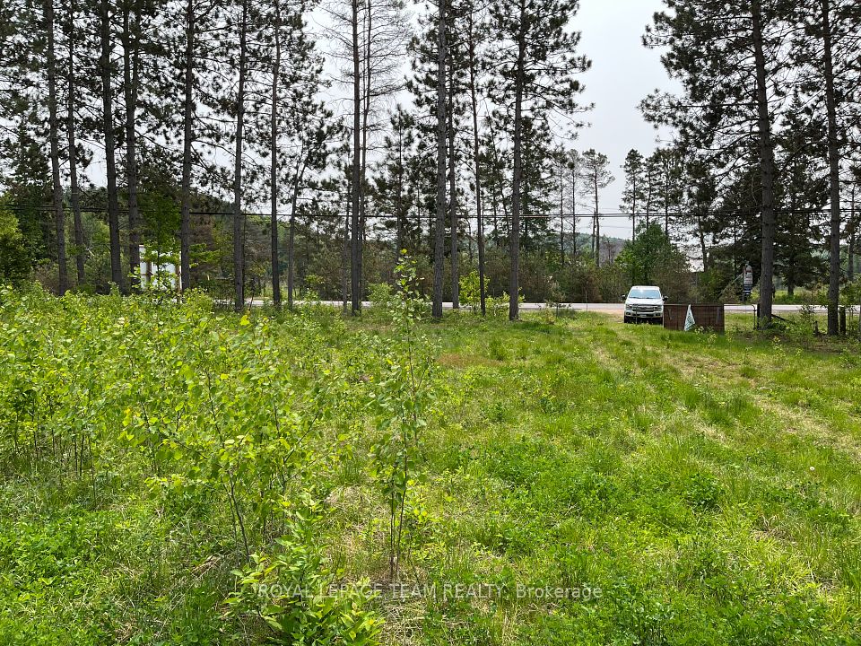 18500 Highway 60 Highway, Madawaska Valley, ON K0J 1B0