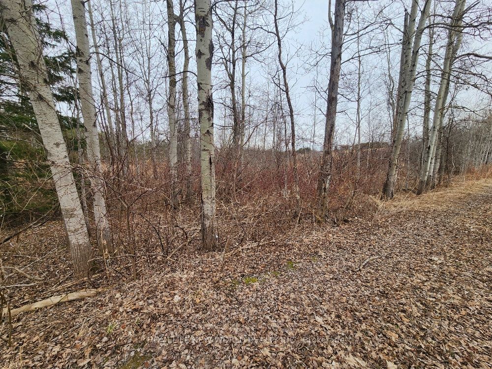 5285 Trafalgar Road, Erin, ON N0B 1T0