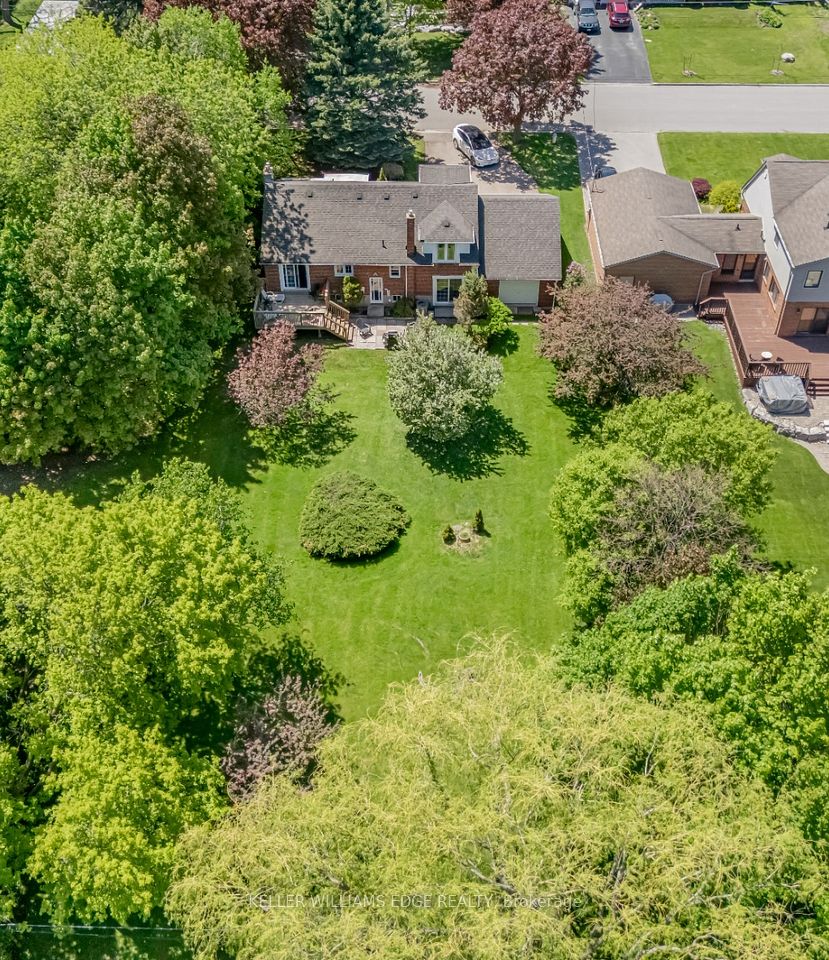 41 McNab Boulevard