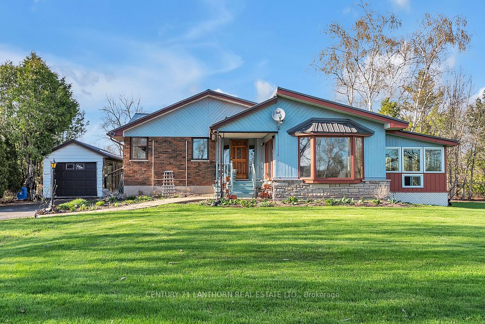 518 Rosebush