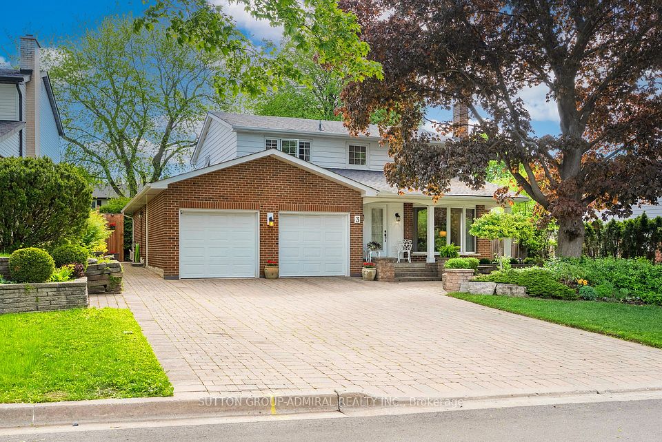3 Blue Spruce