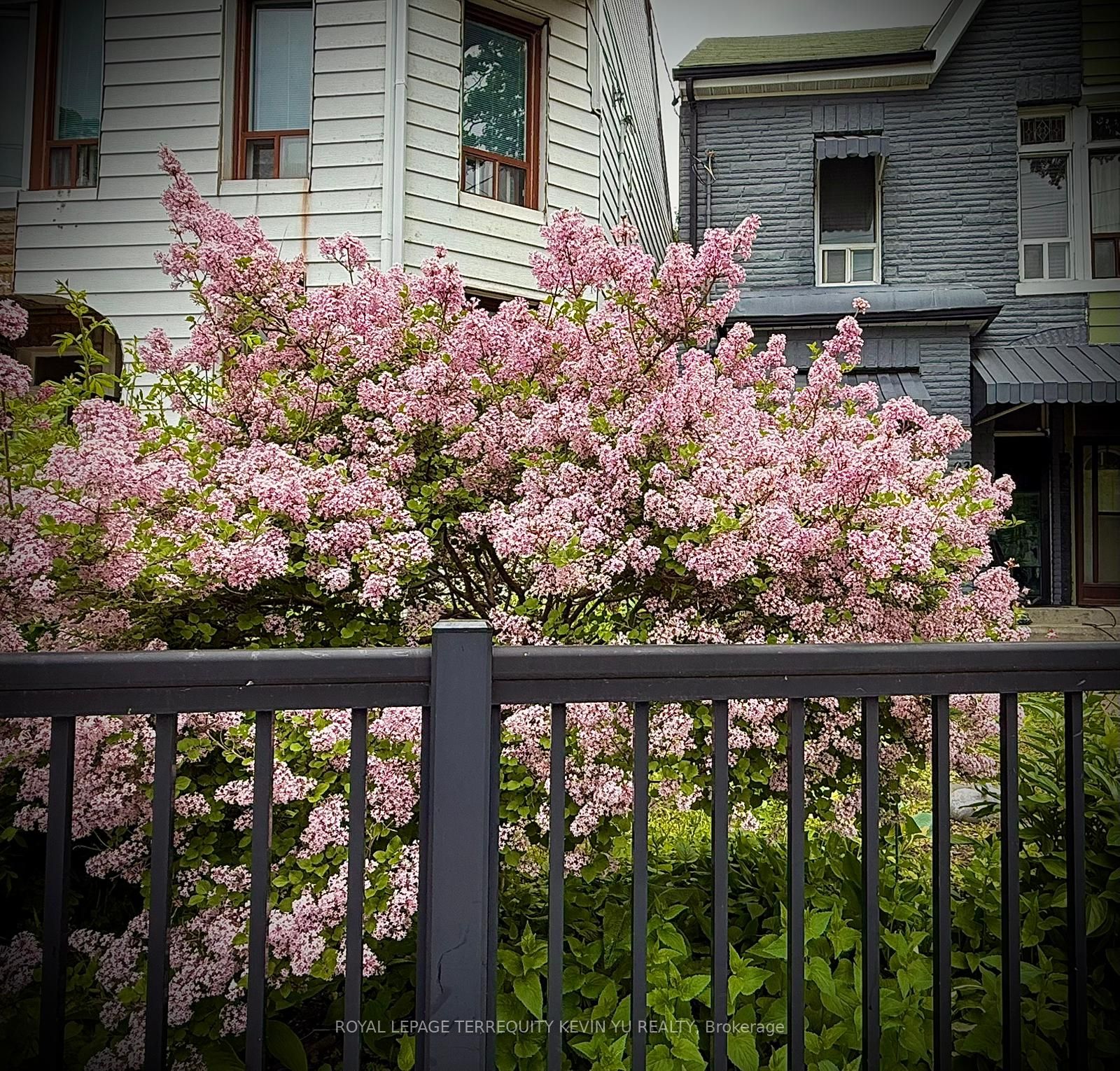 23 Edwin Avenue