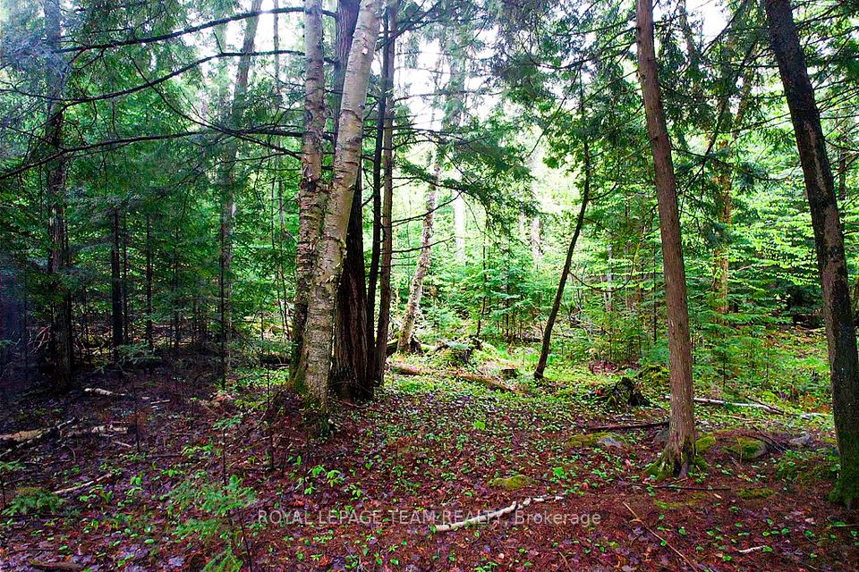 -00 Biernacki Mountain Road, Madawaska Valley, ON K0J 1B0