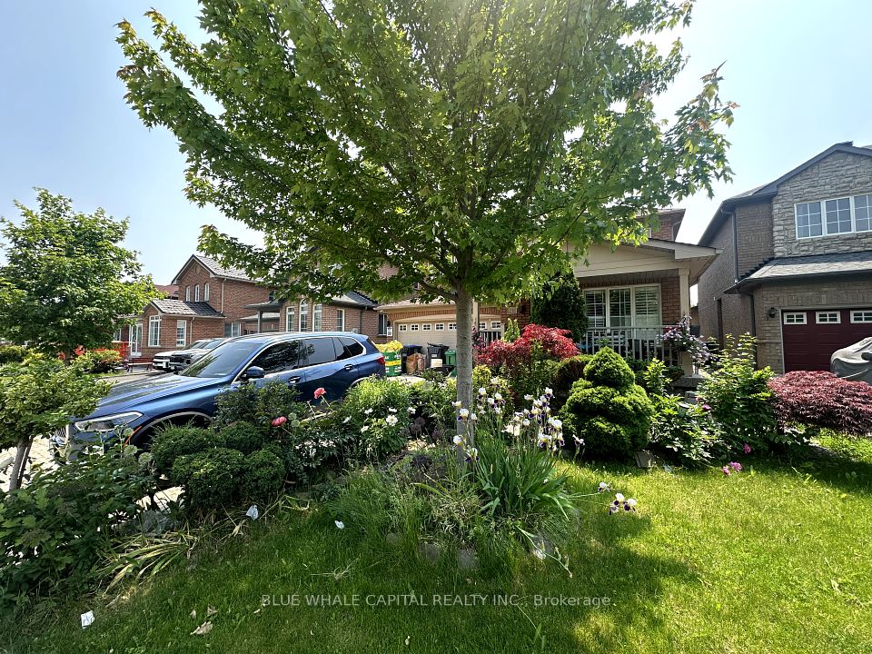 20 Hollowgrove