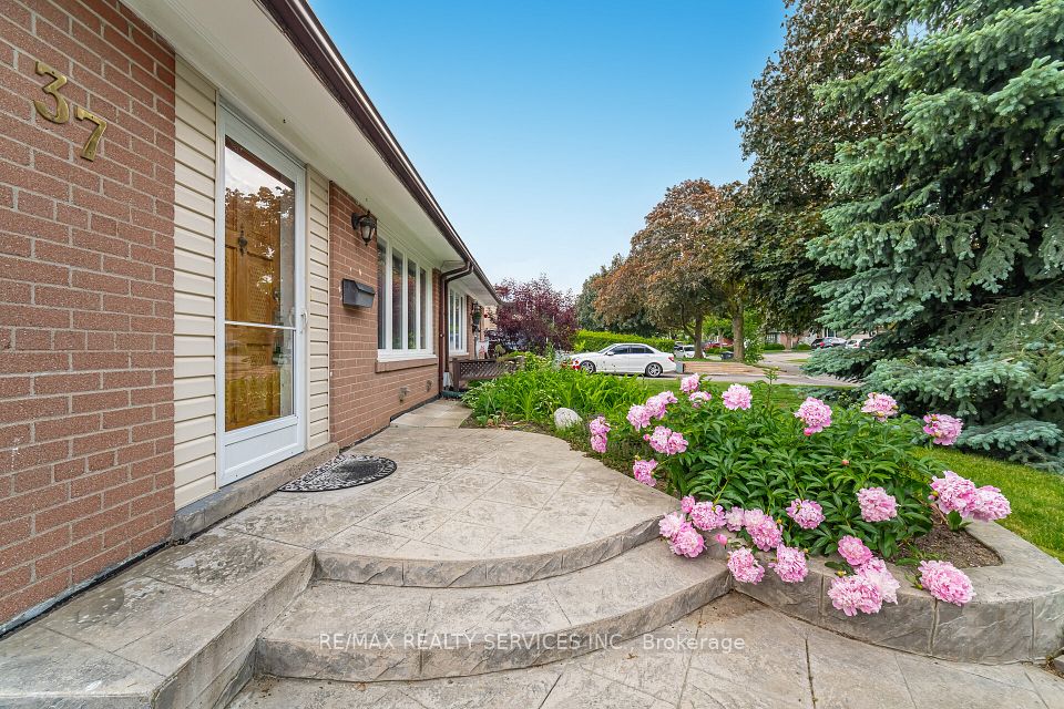 37 Welbeck Drive, Brampton, ON L6X 2K9