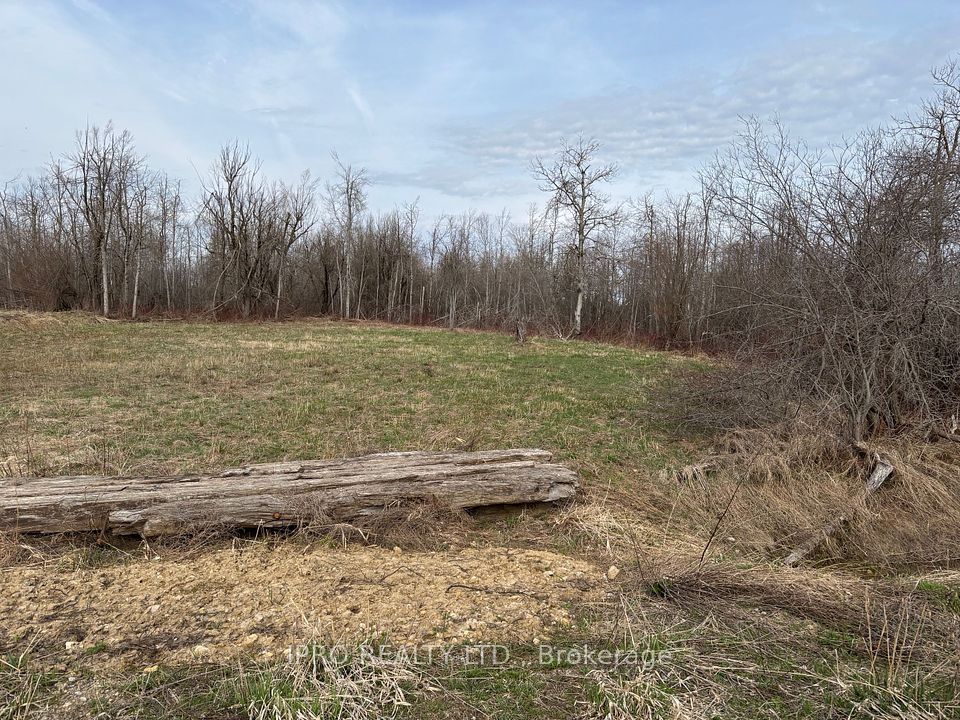 Con 2 5th Line, Melancthon, ON L9V 1P8