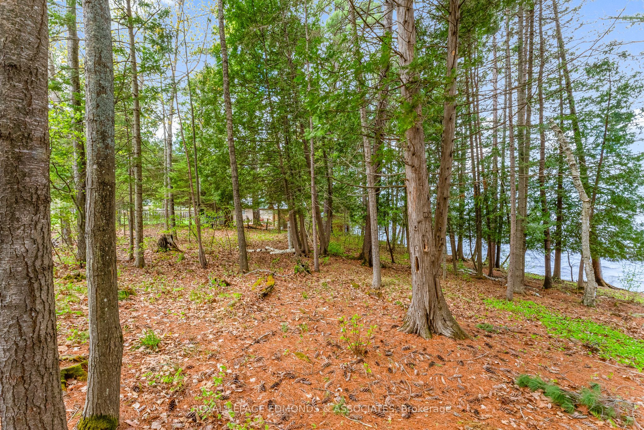 769 Rock Point Lane