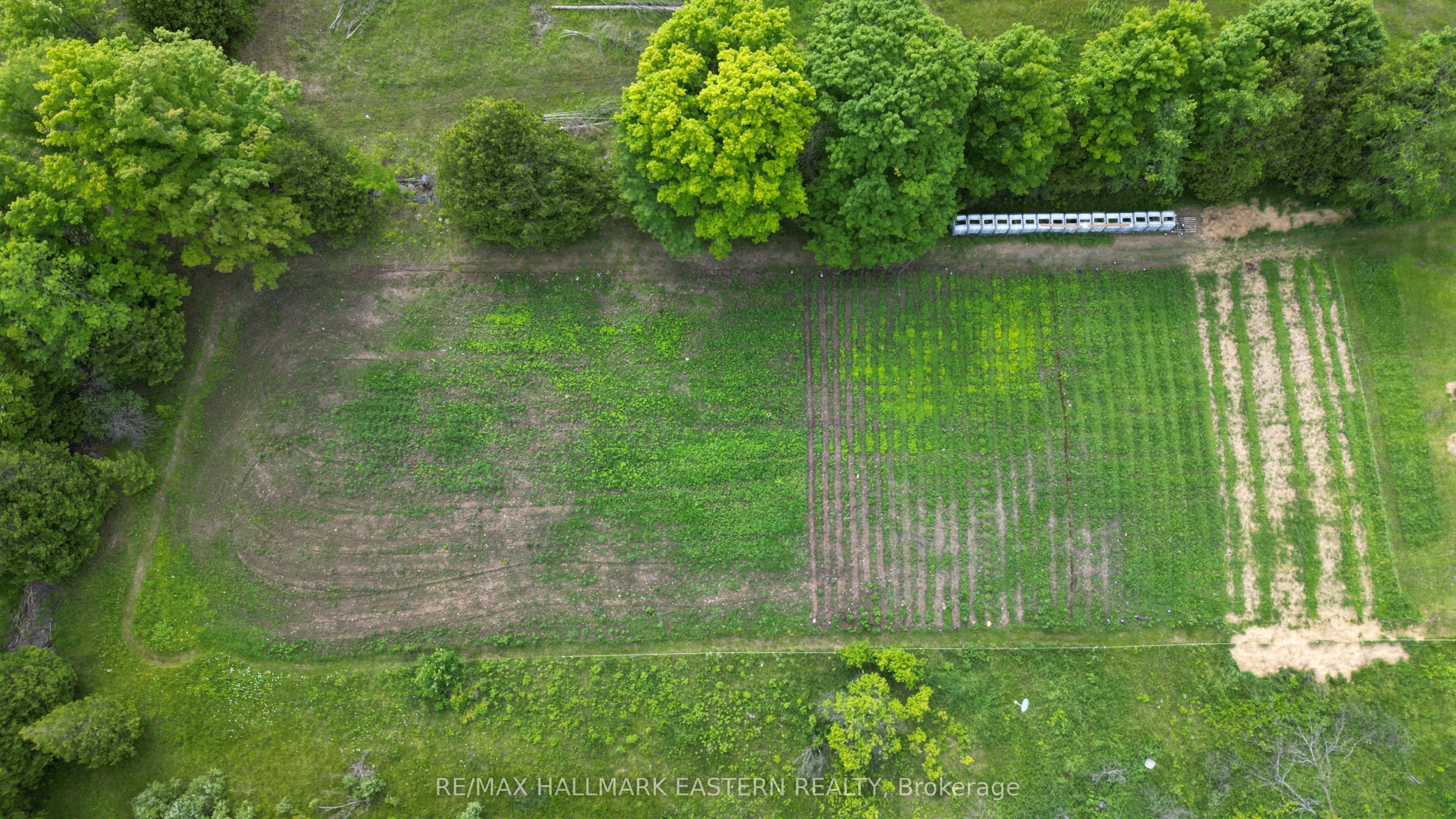 4291 County Road 44