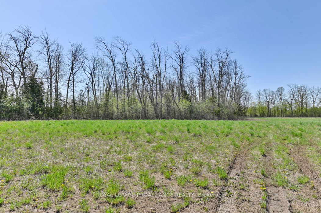 4330 BLESSINGTON Road, Tyendinaga, ON K0K 2N0