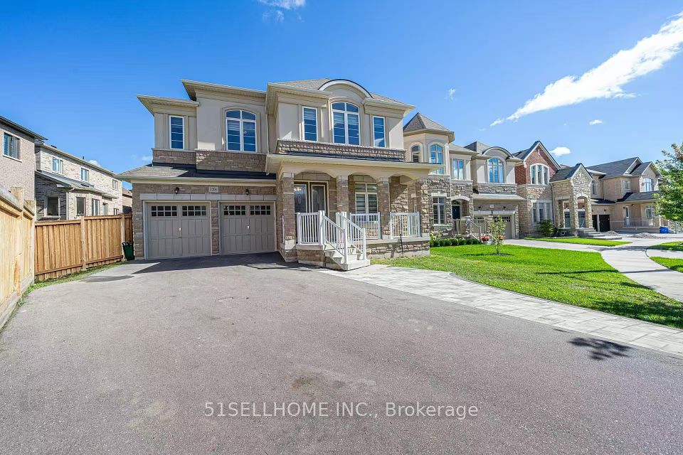 3209 Buttonbush