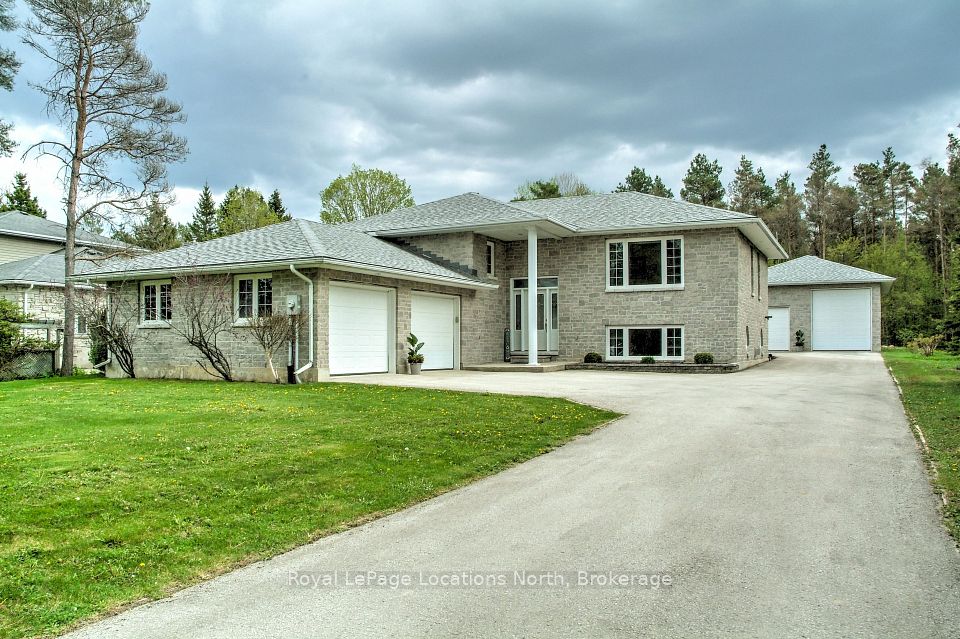 30 Pine Tree