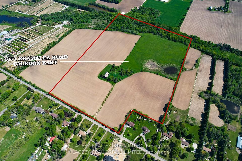 14671 Bramalea