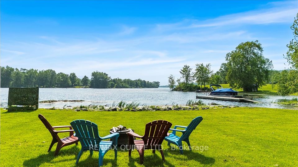 321 Rosebush