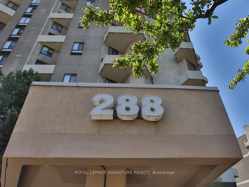 288 Mill Road, #F19