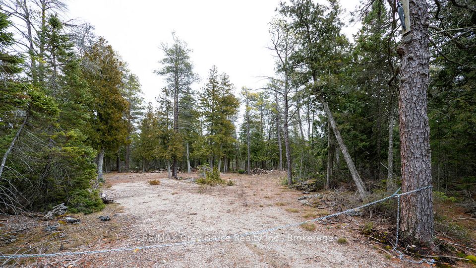 1035 DORCAS BAY